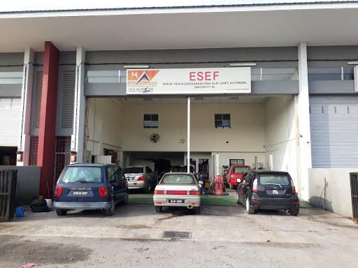 ESEF Work